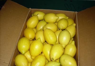 【新西蘭檸檬代理 清關(guān)服務代理 北京上海專業(yè)報關(guān)行為您服務】價格_廠家_圖片