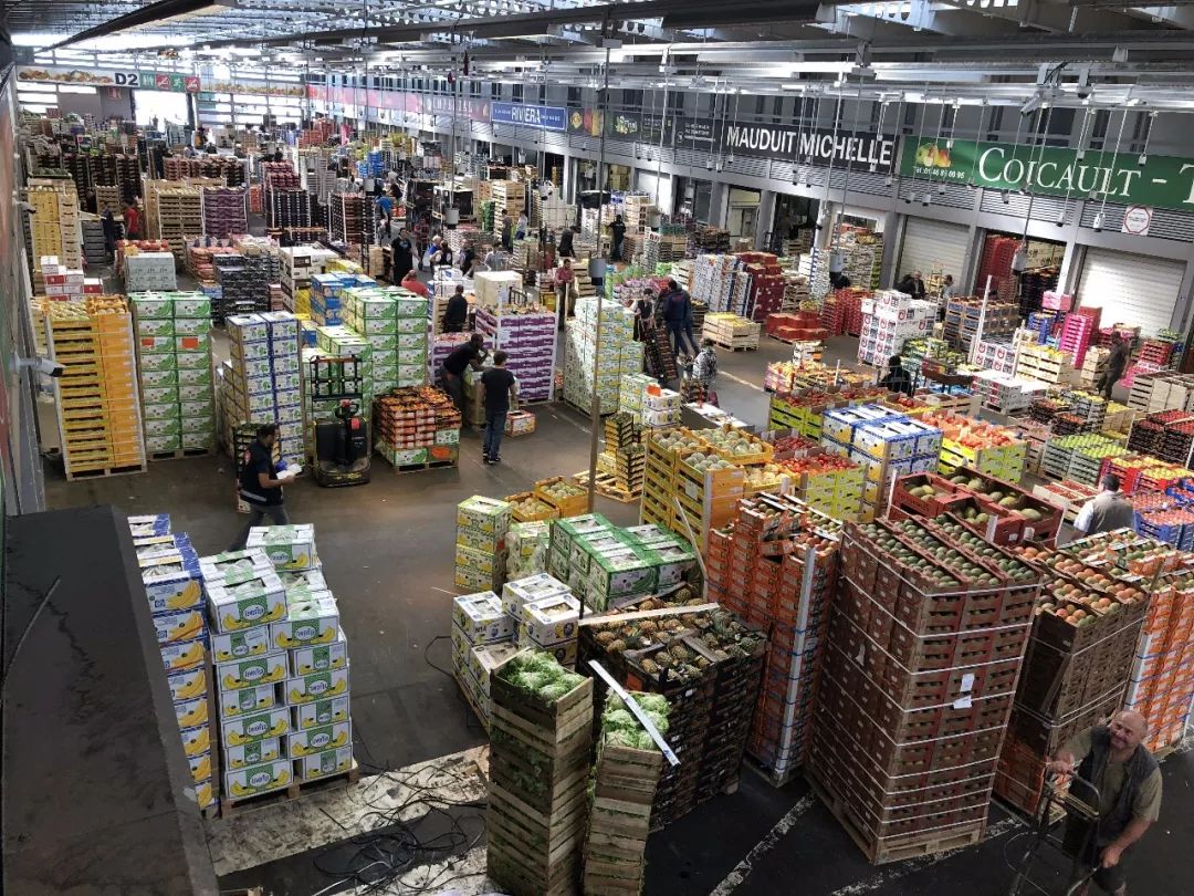 河北新發(fā)地集團(tuán)董事長米亞林赴歐洲考察農(nóng)產(chǎn)品市場發(fā)展新模式