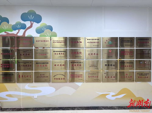 守護(hù)生命，晝夜不停——湖南省直中醫(yī)醫(yī)院動物致傷門診24小時接診正式開診